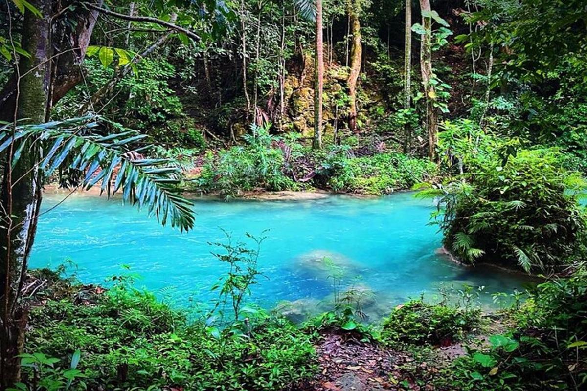 una pozza d'acqua blu in mezzo a una foresta