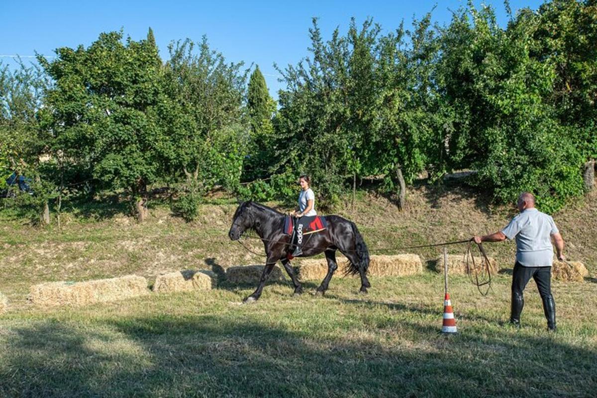 un uomo sta trainando una donna su un cavallo