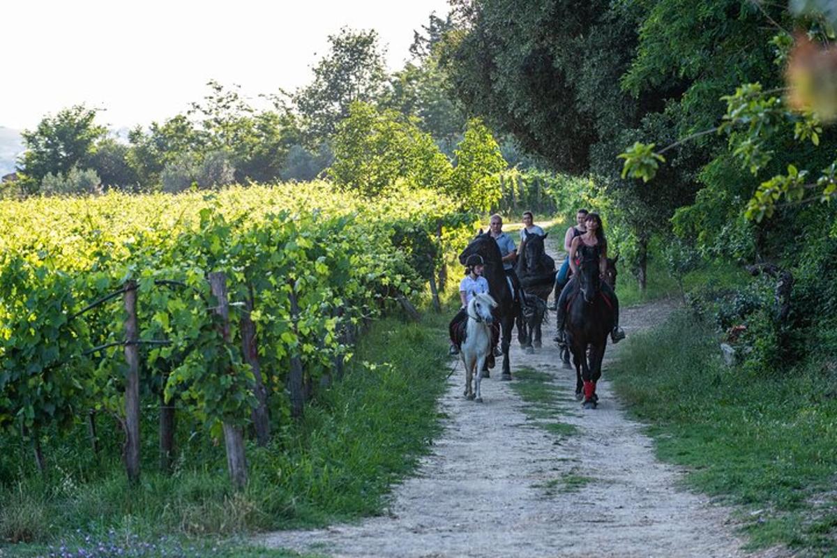 Un grupo de personas montando a caballo por un camino de tierra.