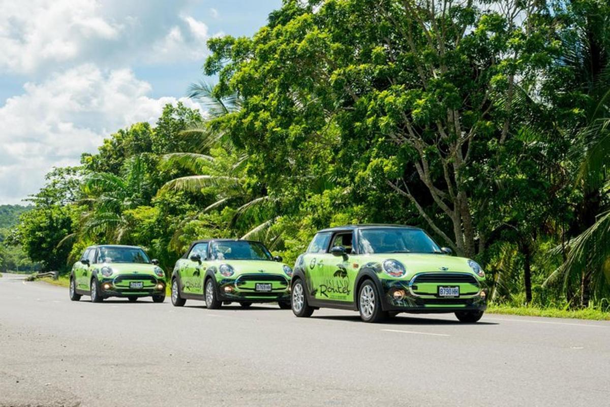 tres cotxes verds circulant per una carretera amb arbres