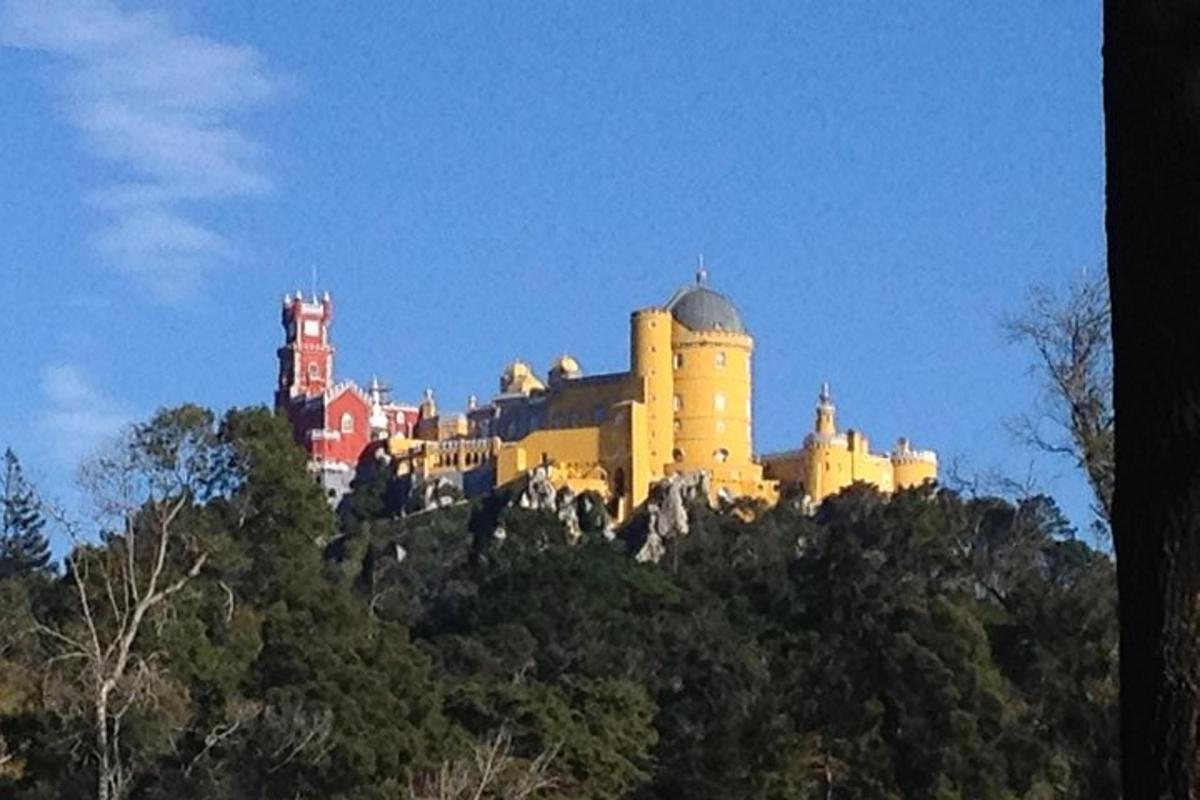 un castillo en la cima de una colina con árboles