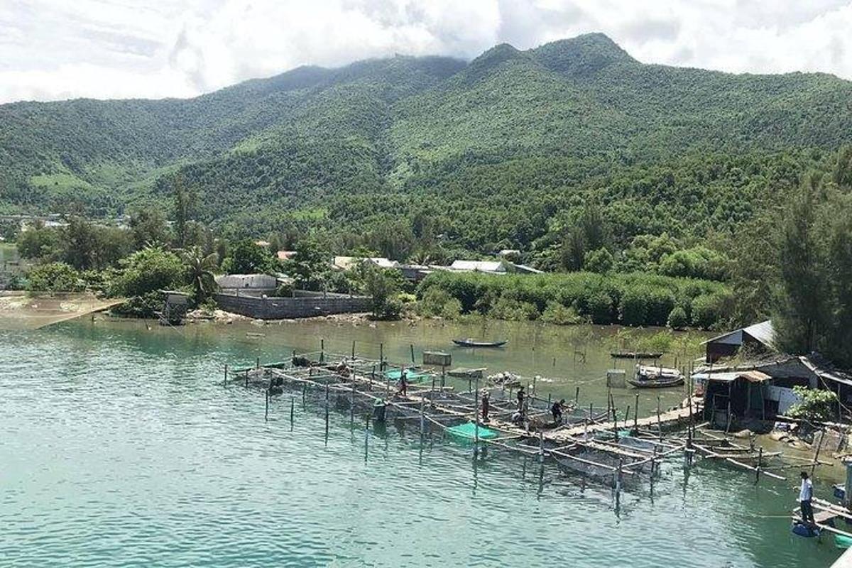 Un grupo de barcos en el agua con montañas.