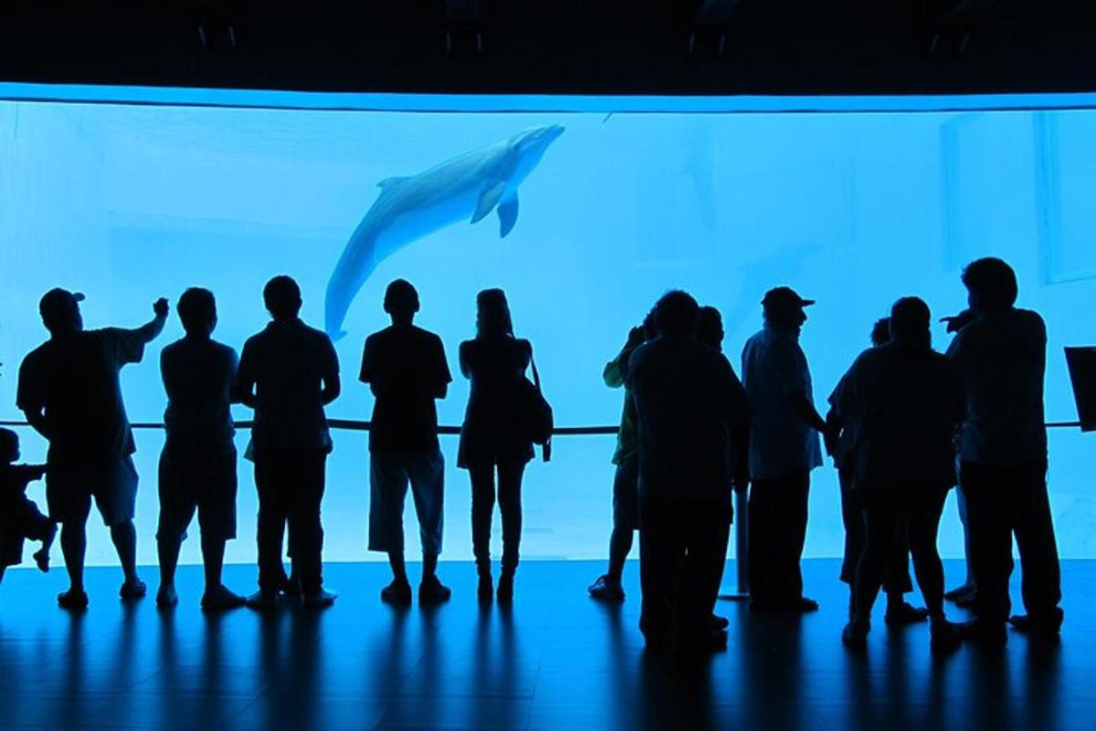 a group of people standing in front of a large aquarium