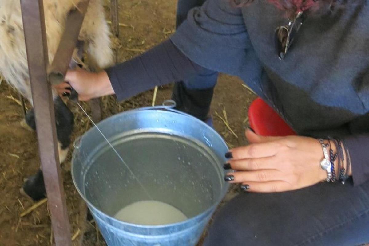 a woman is holding a bucket of milk