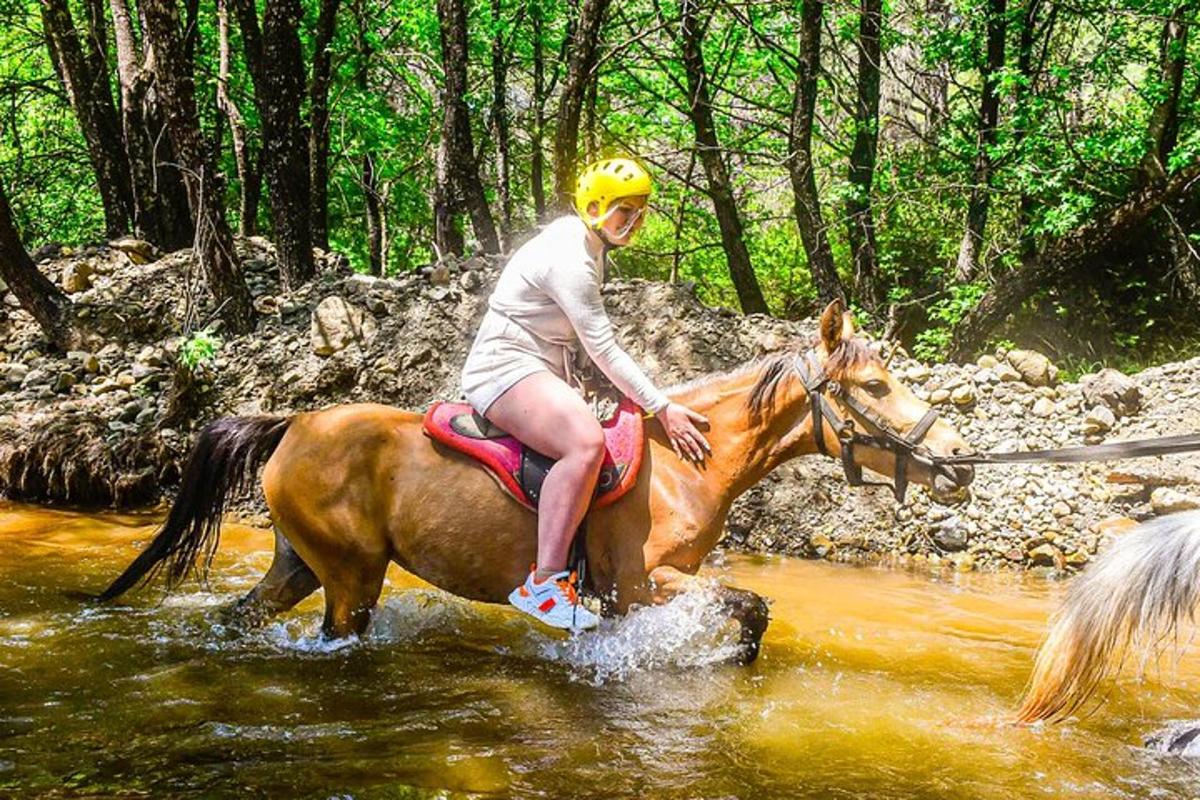 uma pessoa cavalgando um cavalo em um rio com uma bengala