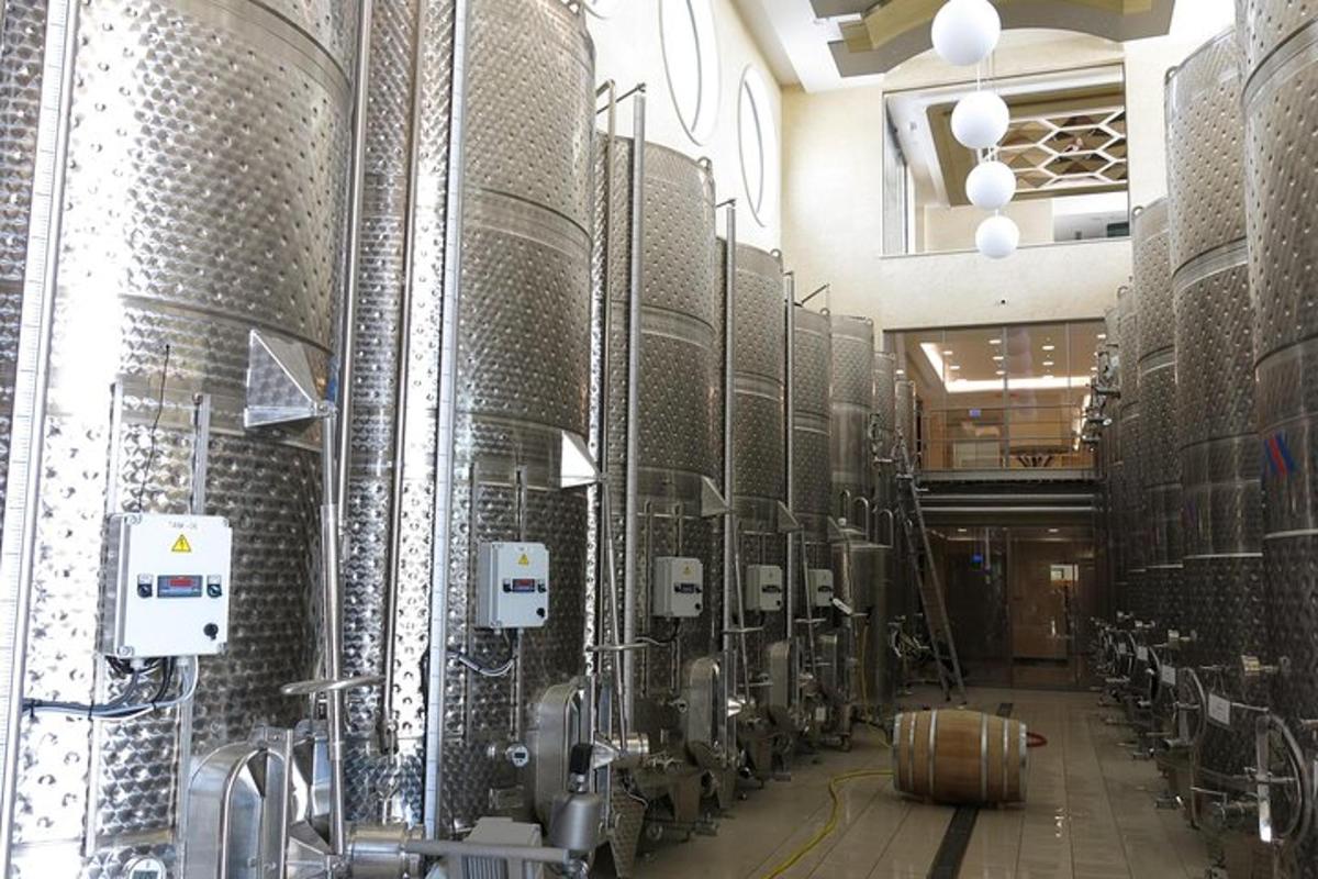 una cantina con un mucchio di botti di vino
