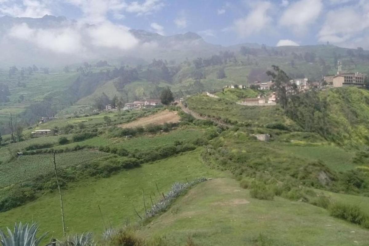 una vista di un campo verde con le montagne sullo sfondo