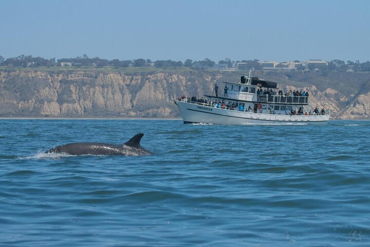 a whale swimming in the water next to a boat
