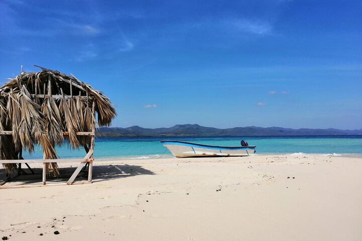 a boat on a beach with a straw hut