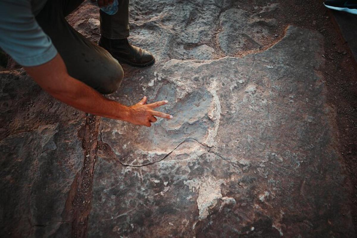 a person standing on a rock with their hand on it