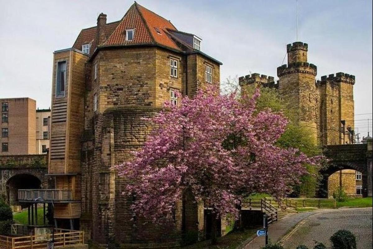 an old building with a flowering tree in front of it