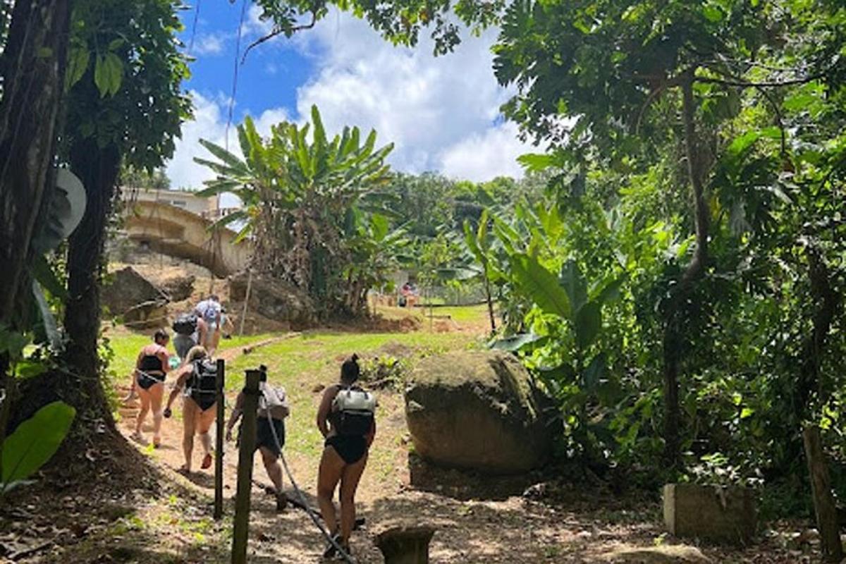 a group of people walking down a dirt trail