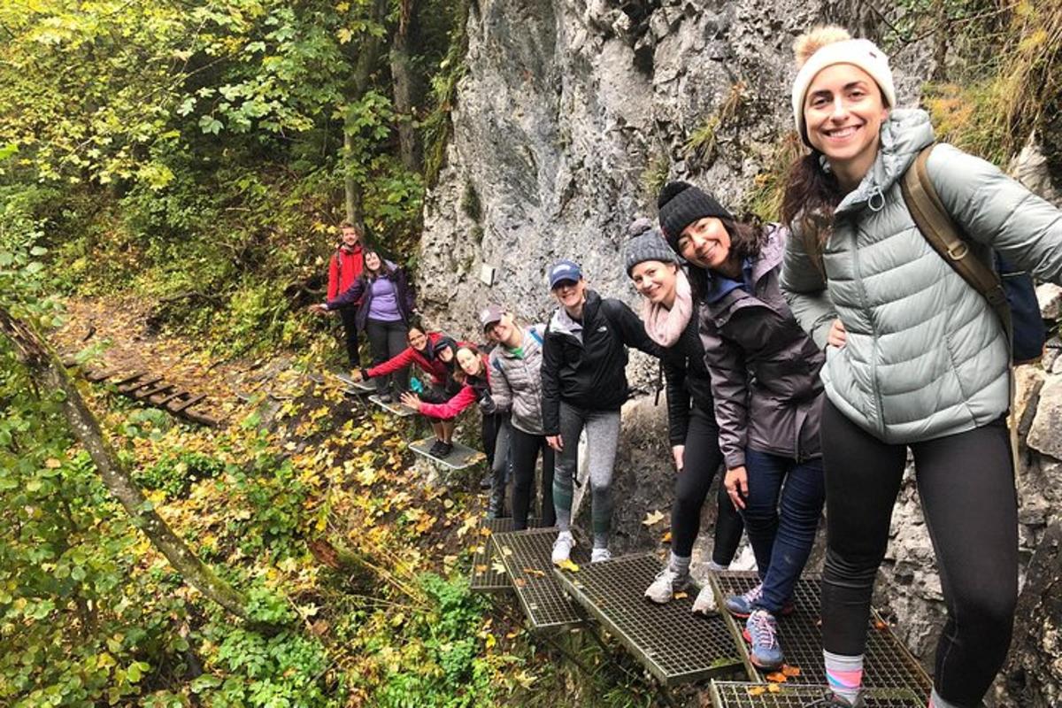 a group of people walking up the stairs on a trail
