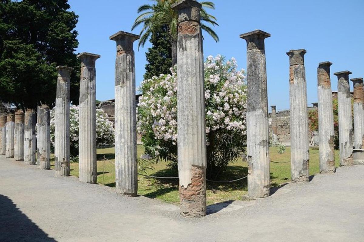 Una hilera de postes con una palmera y flores.