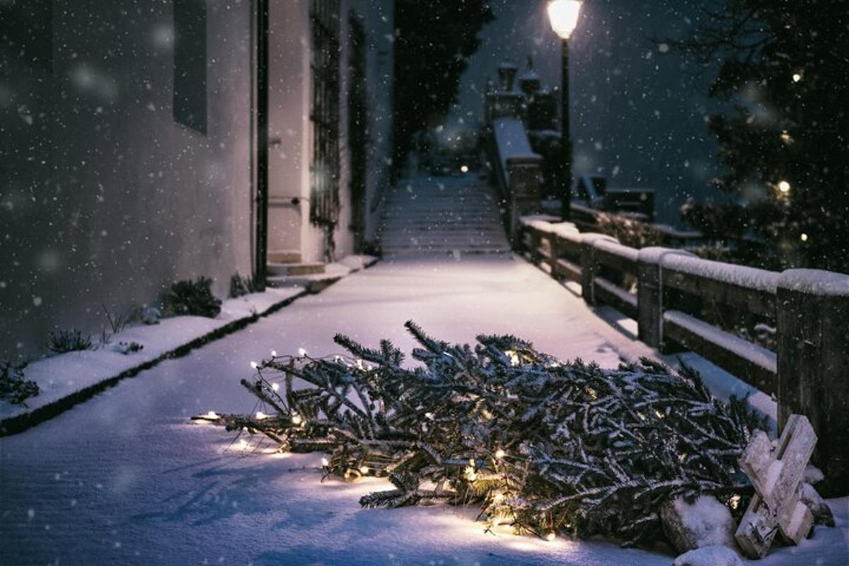 a discarded christmas tree laying on a sidewalk in the snow