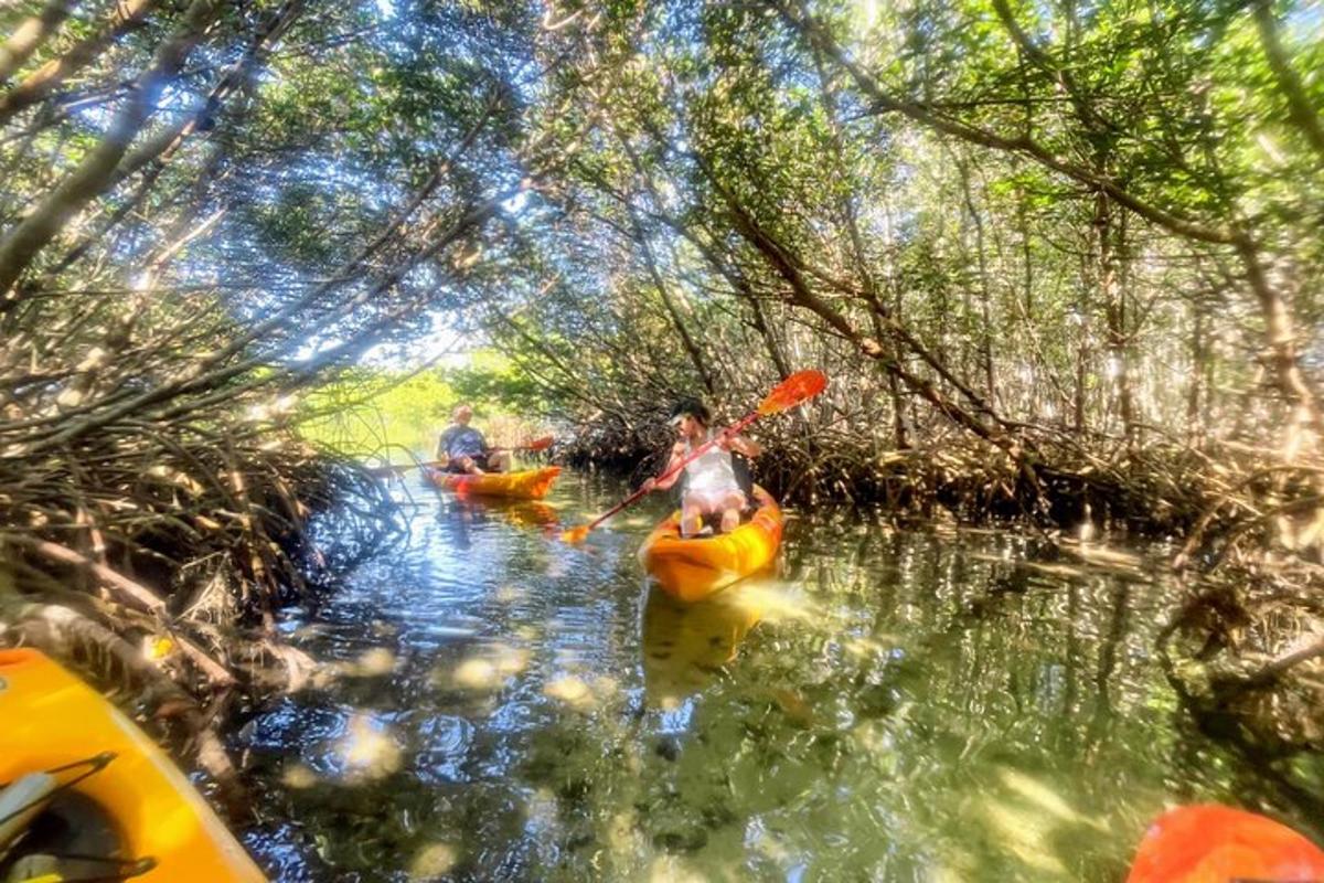 คนสองคนกำลังพายเรือคายัคลงแม่น้ำในป่า