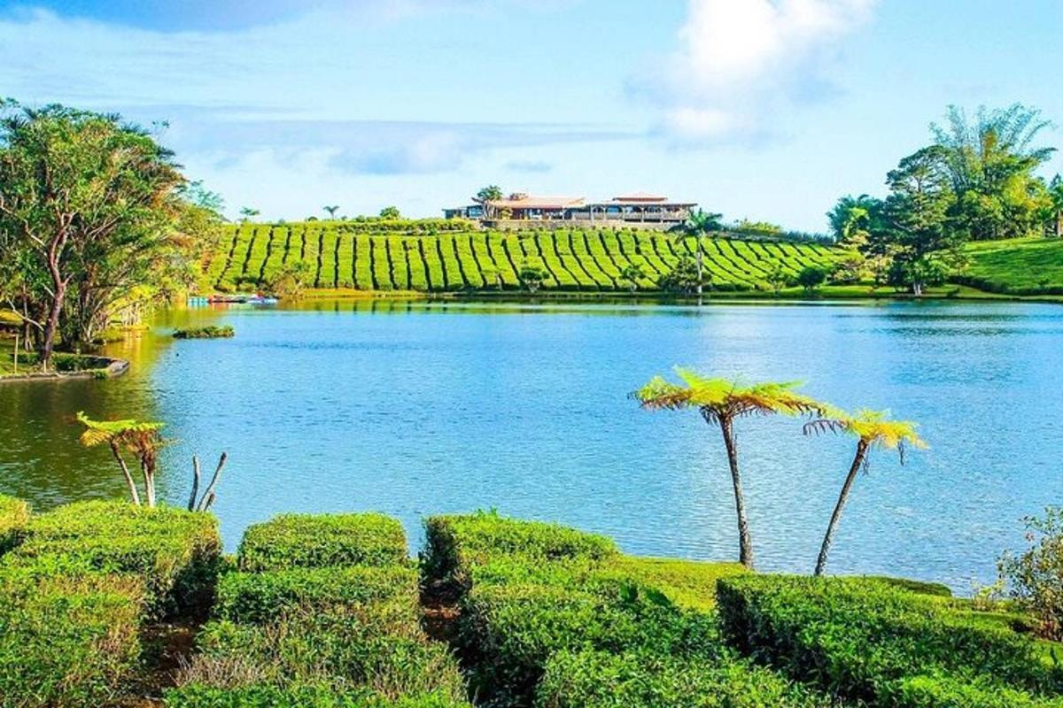 un lago con palme e una casa sullo sfondo
