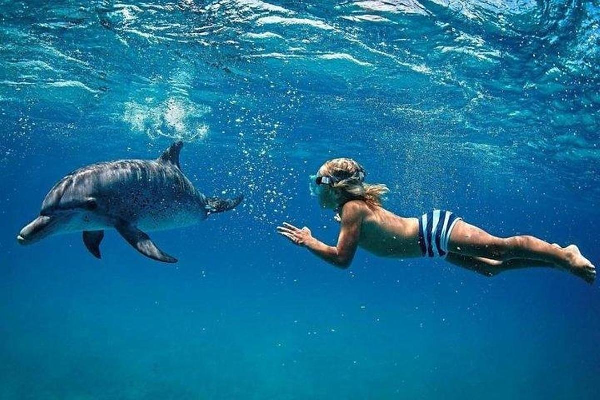 a woman swimming with a dolphin in the water