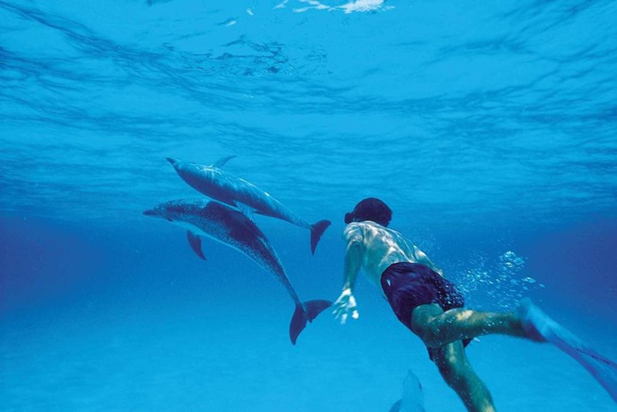 un uomo che nuota nell'oceano con due delfini