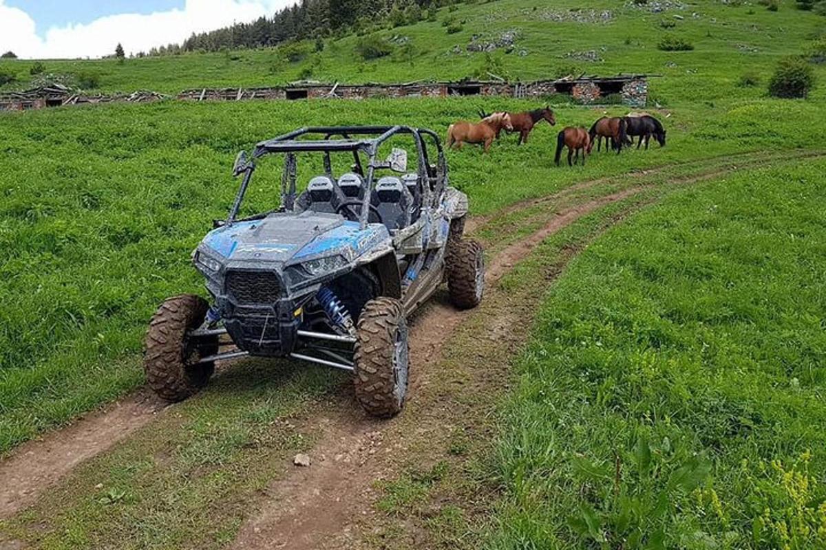 an atv on a dirt road with horses in a field