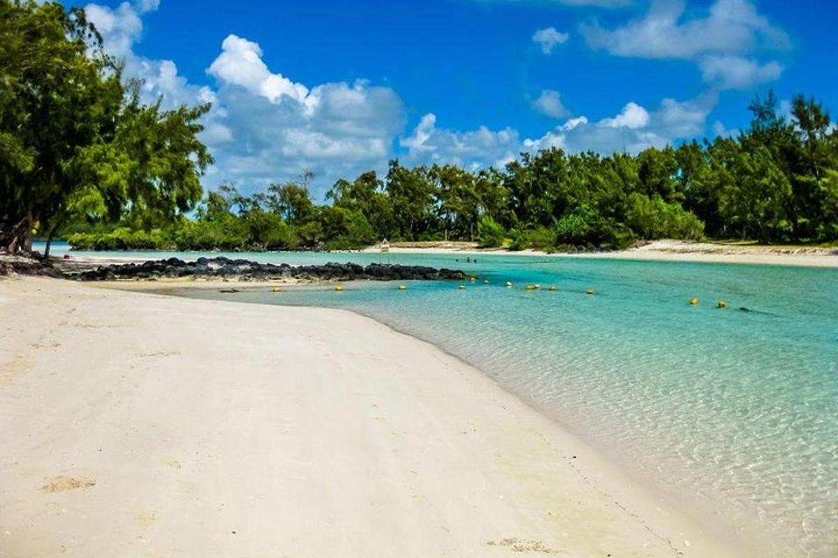 uma praia com um grupo de pessoas na água