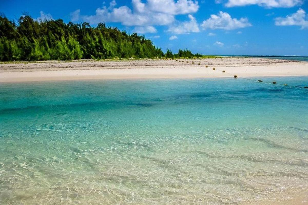 una platja amb un grup de persones a l'aigua