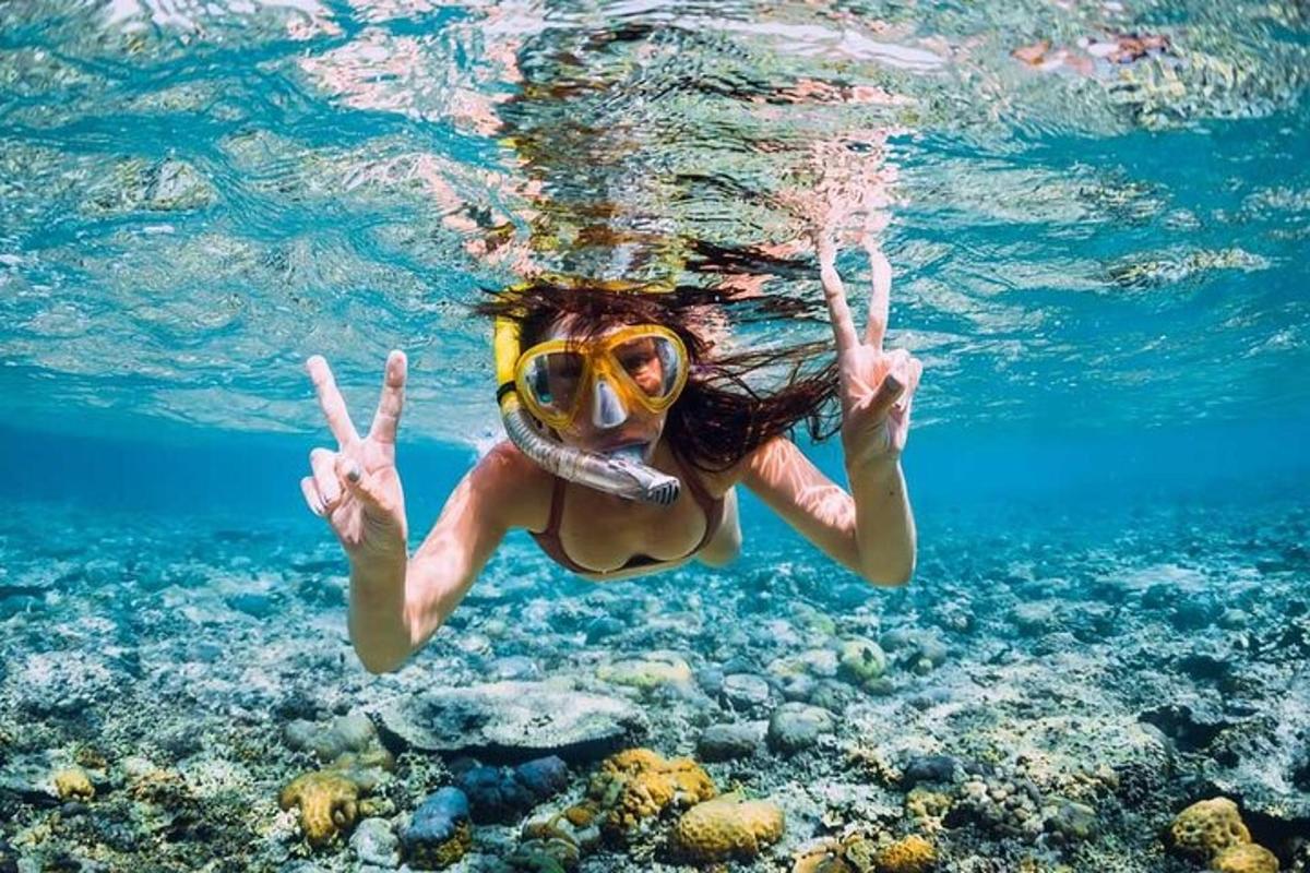 Una mujer que lleva un snorkel y una máscara de tortuga bajo el agua