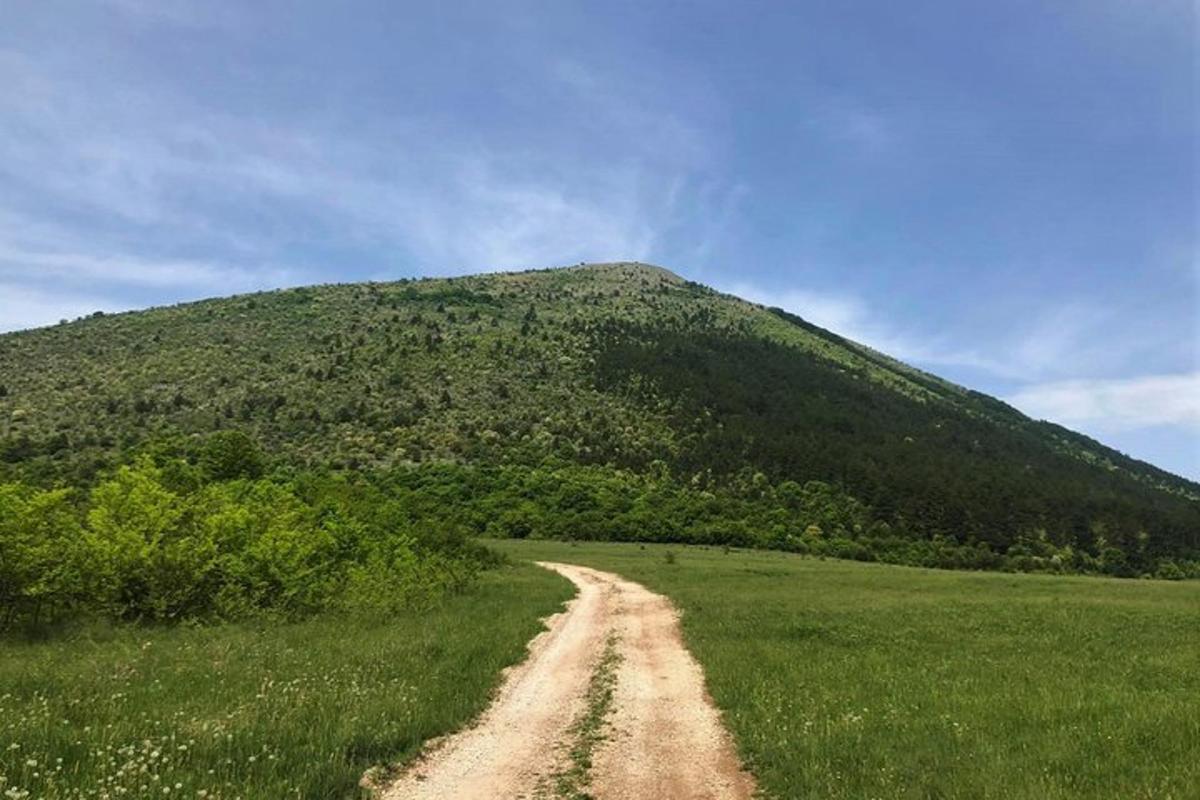 jalan tanah di tengah padang dengan gunung