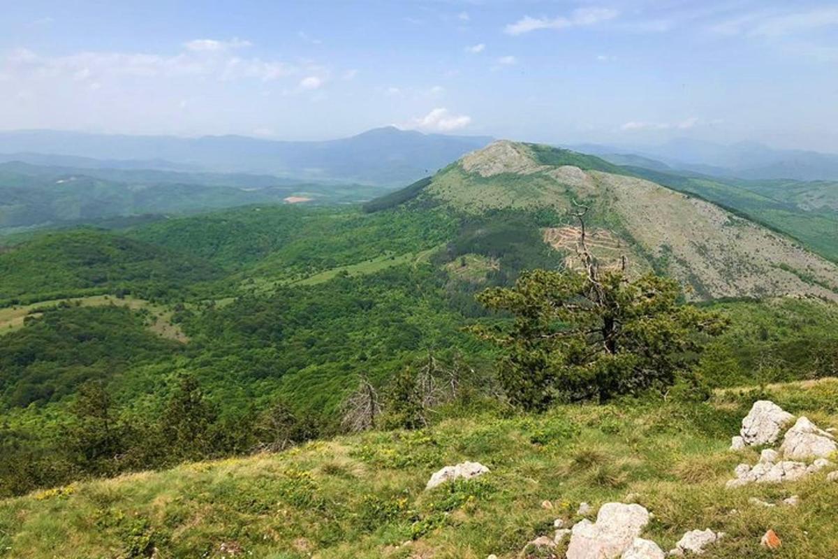 pemandangan gunung dengan pokok di atas bukit