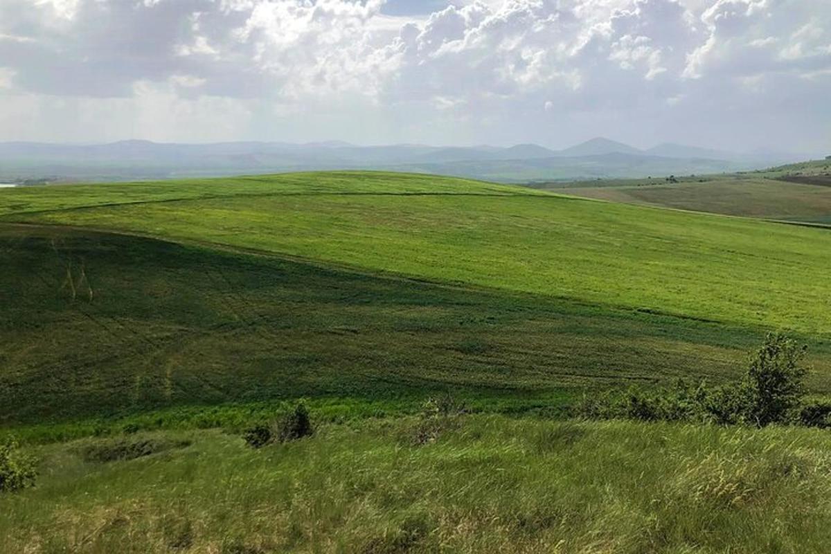 polje zelene trave z gorami v ozadju