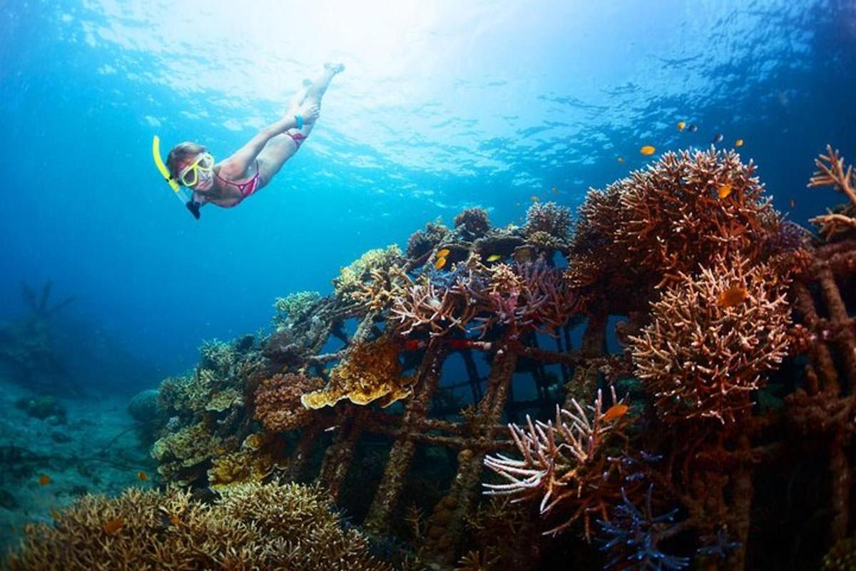 una donna sta nuotando su una barriera corallina