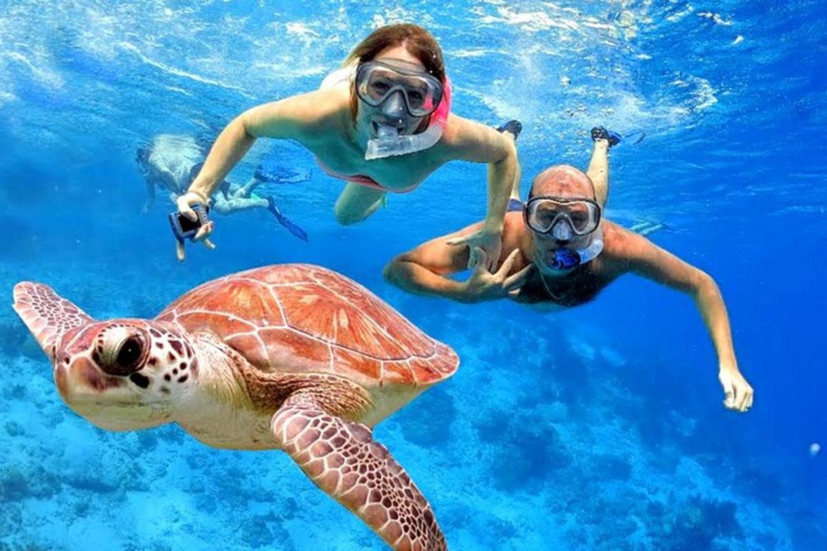 δύο άτομα και μια θαλάσσια χελώνα στο νερό