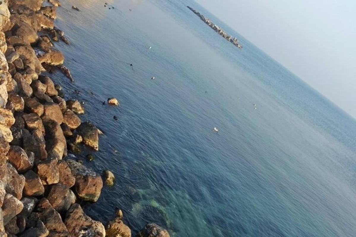 un groupe de personnes nageant dans l'eau
