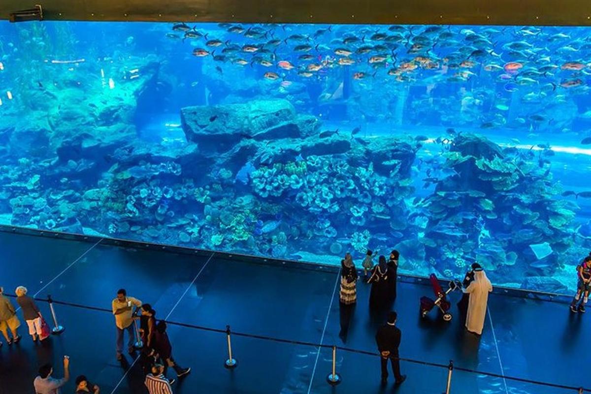 a group of people standing in front of a large aquarium