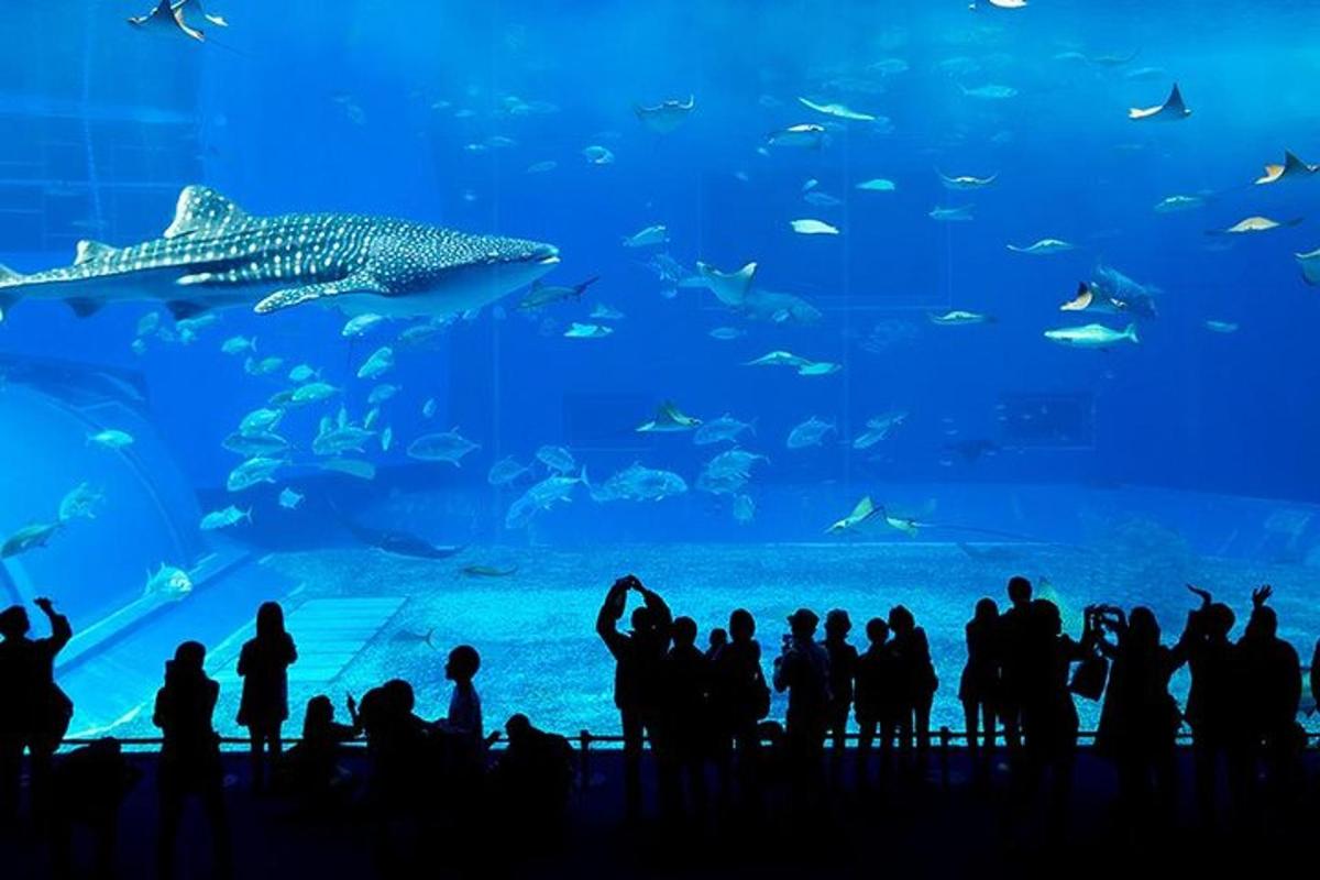 a group of people standing in front of a large aquarium