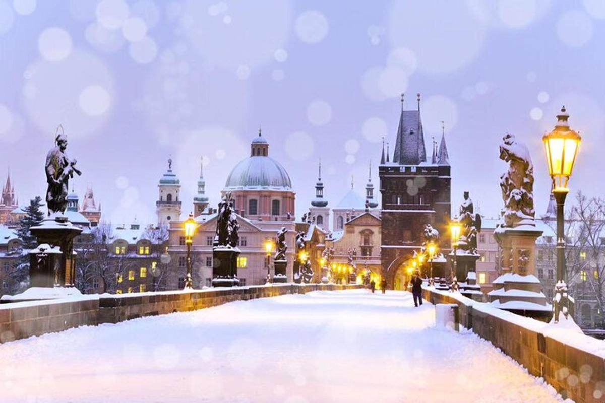 Una ciudad cubierta de nieve con edificios al fondo.