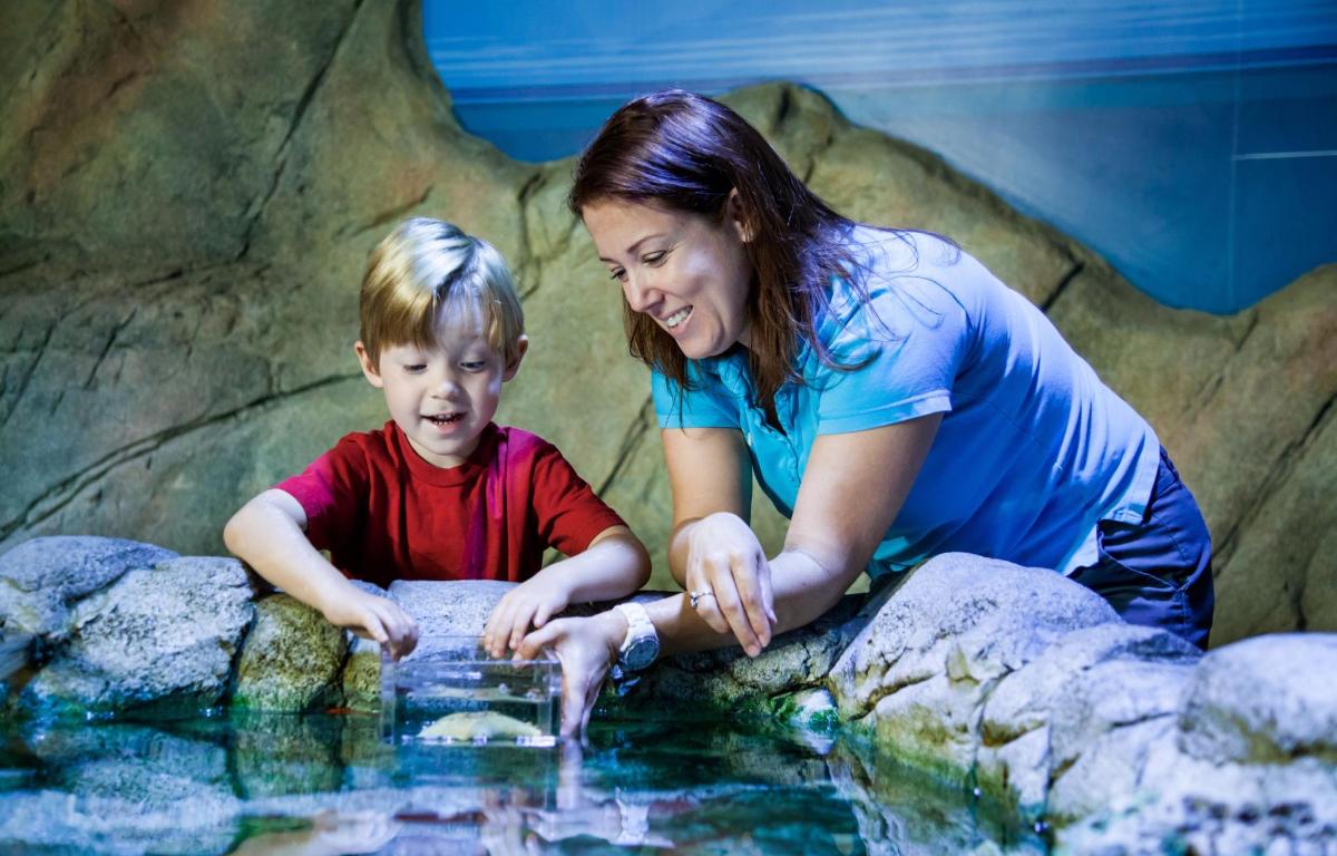 歡迎小朋友近距離接觸海洋生物