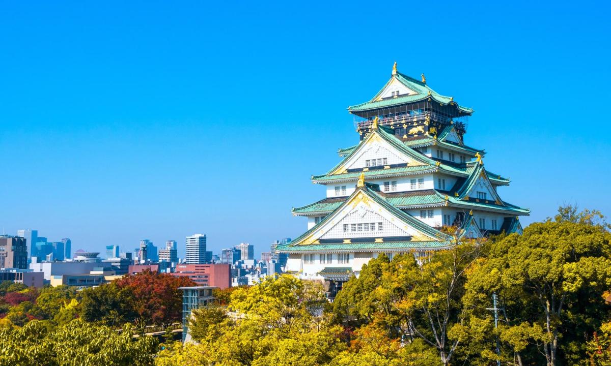 a japanese tower on a hill with a city in the background