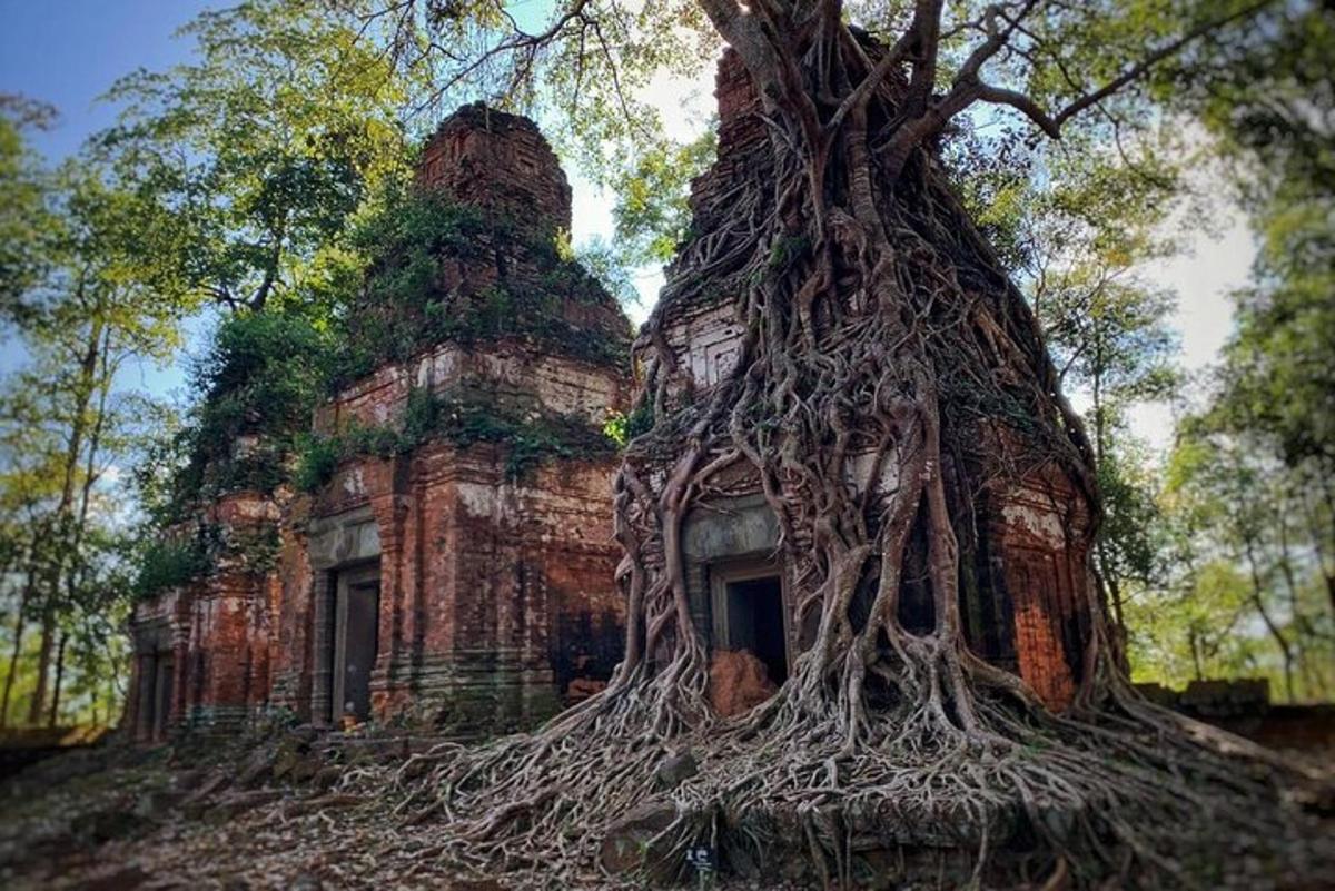un vecchio edificio con un albero che cresce intorno