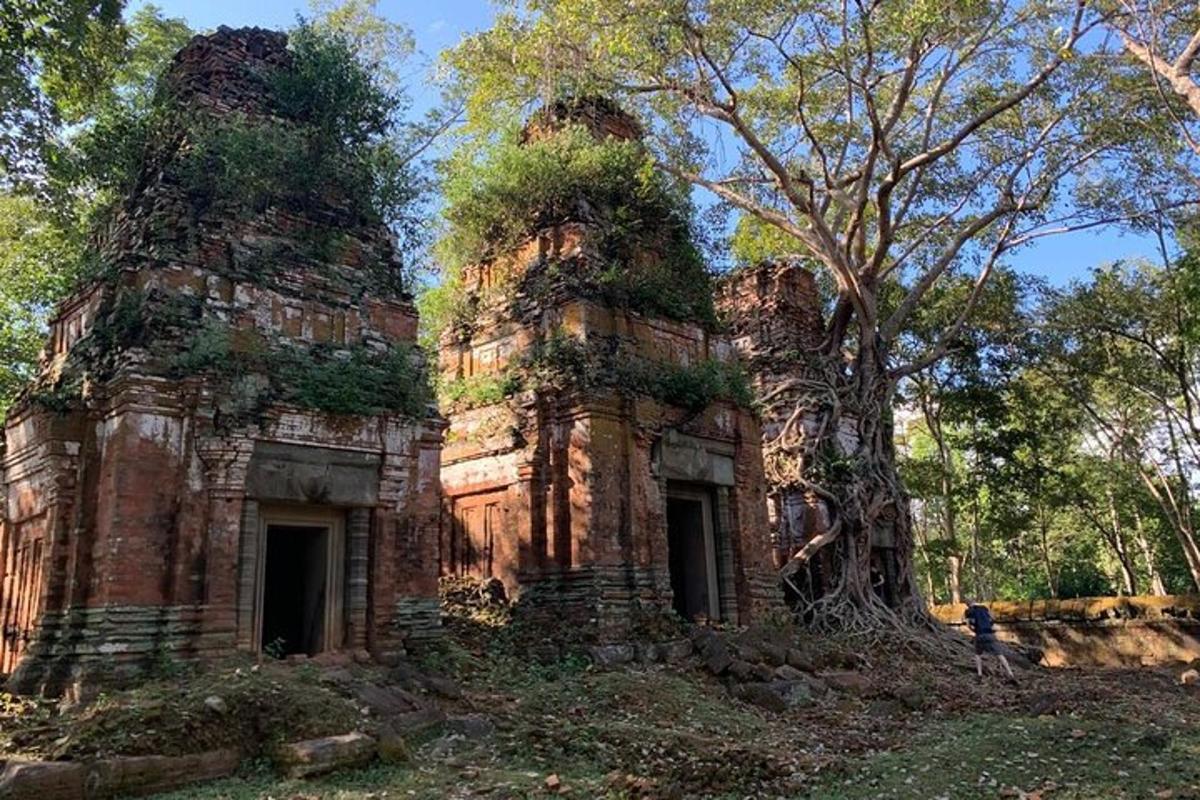 un vecchio edificio in pietra con alberi sullo sfondo