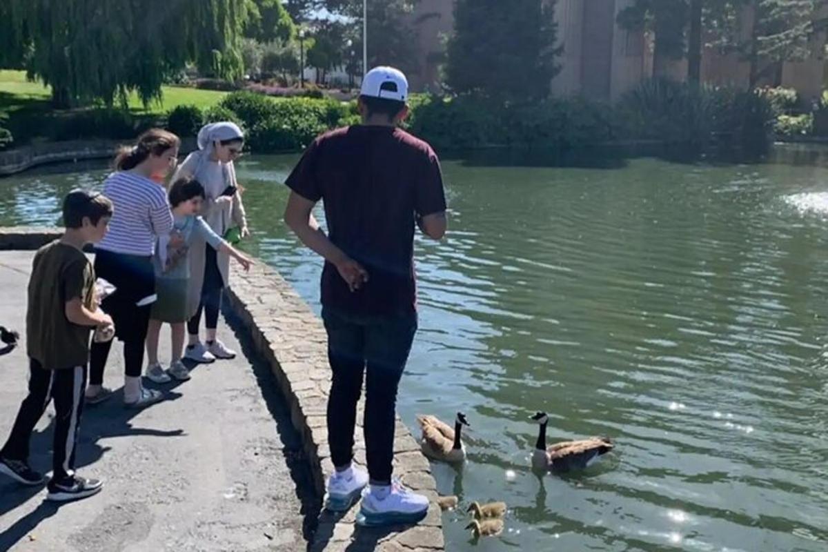 skupina ljudi, ki gledajo race v vodi