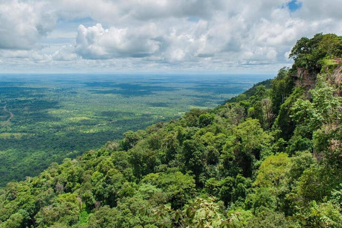 an aerial view of a lush green forested mountain