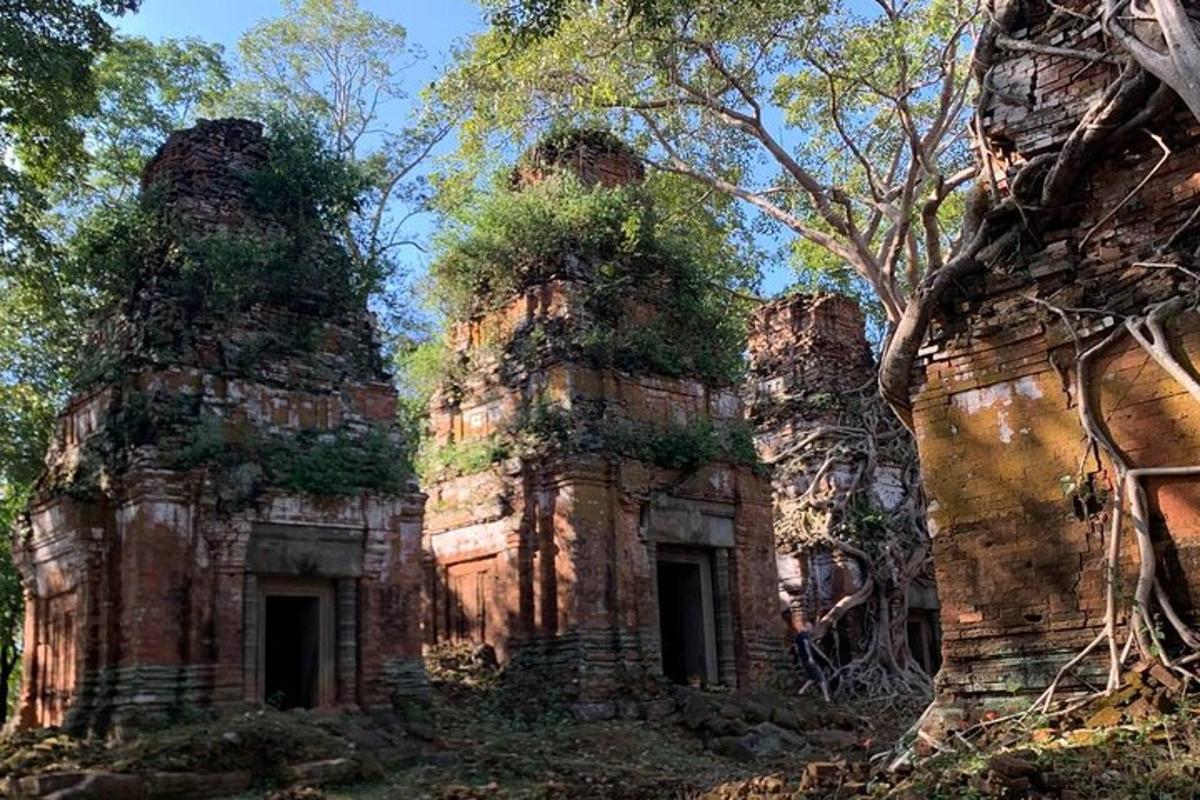 an old temple in the jungle with trees