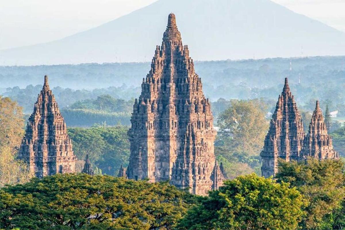 un grupo de grandes torres de piedra en un bosque