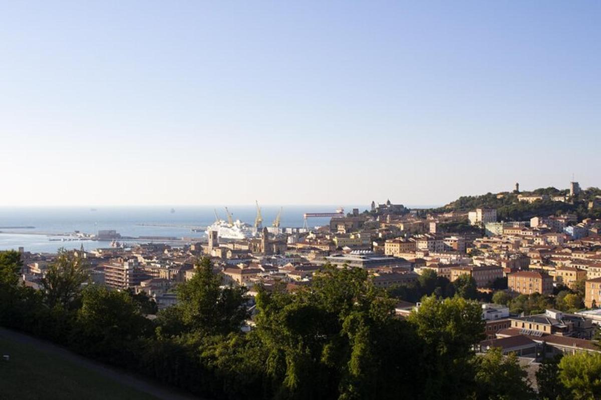 a view of a city with the ocean in the background