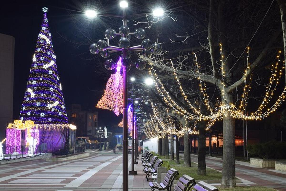 a city street with christmas lights and trees