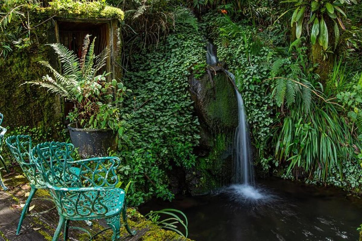 a fountain in a garden with a bench and a chair