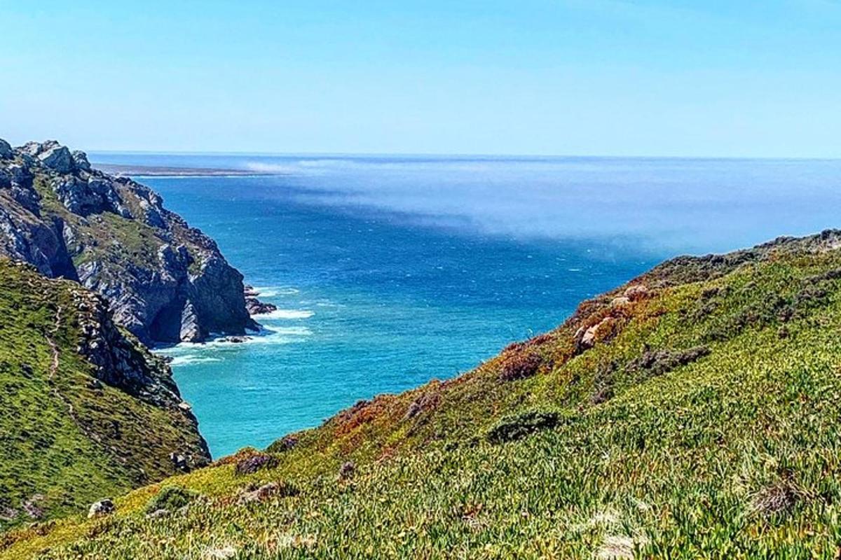 a view of the ocean from the side of a hill