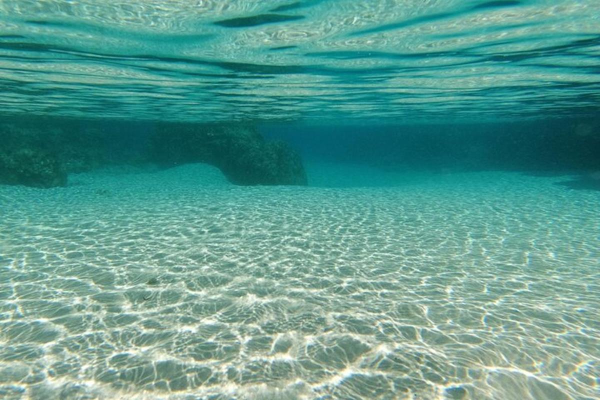 水体的水下景观