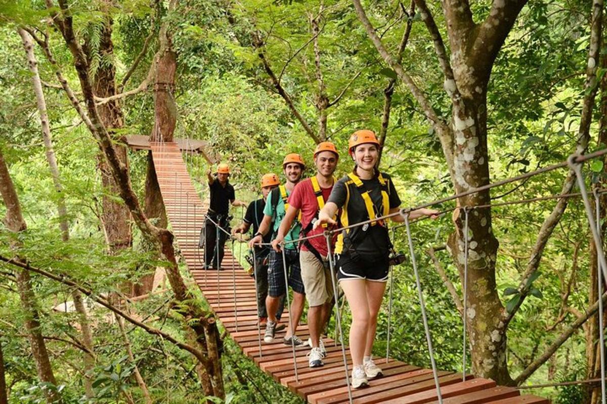a group of people walking across a suspension bridge in the forest